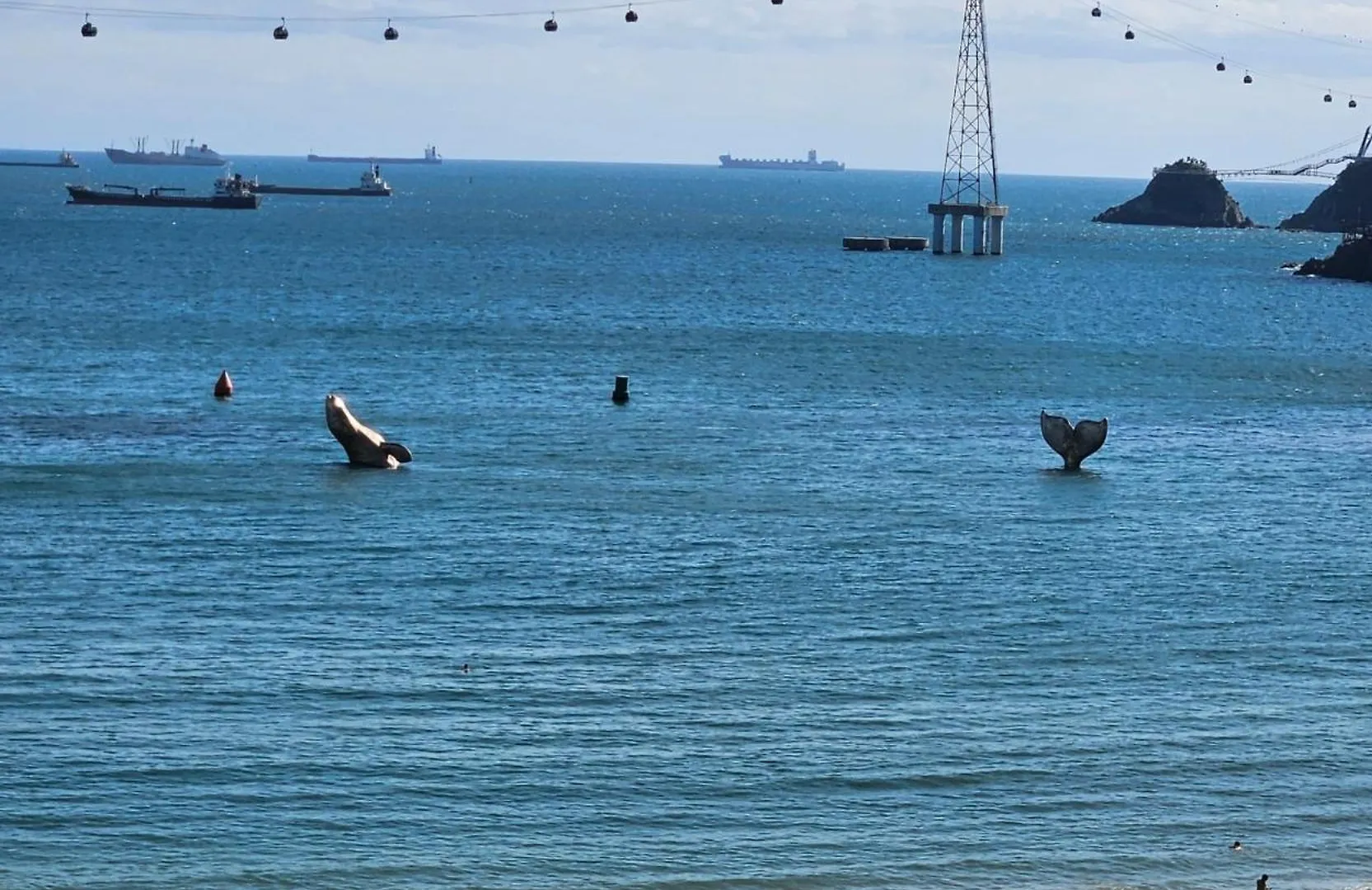 Blue Sands Puszan Villa